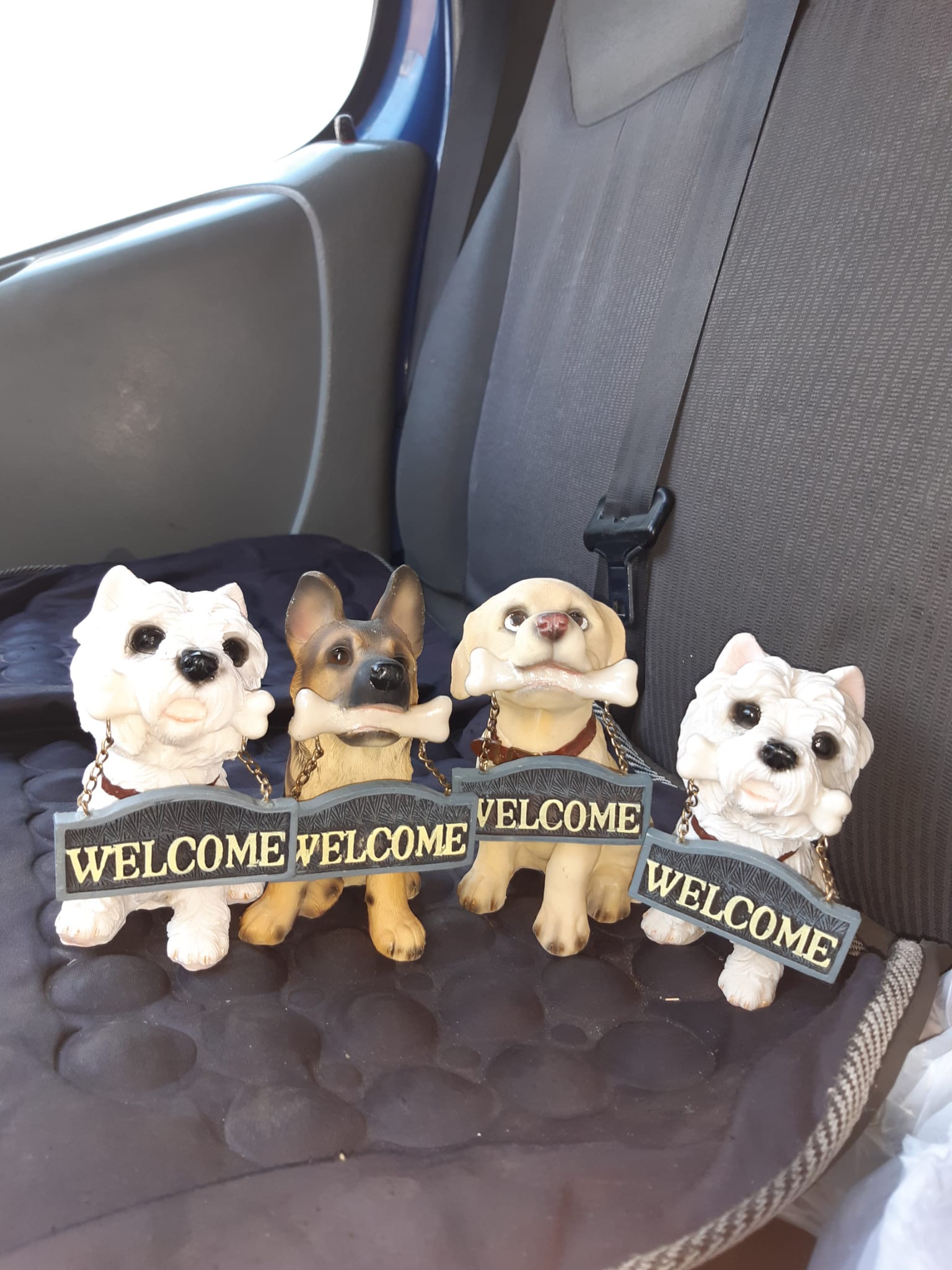 Dekorative Welcome-Hündchen